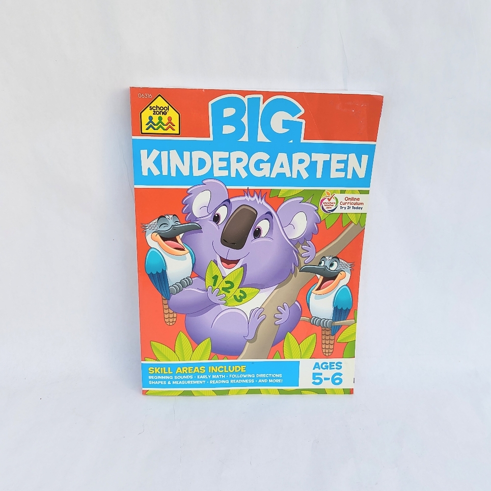 BIG KINDERGARTEN | Grade School Learning Activity Workbook Ages 5-6 New